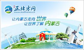 烏海市發放航空旅游補貼，助力旅行社與票務代理發展