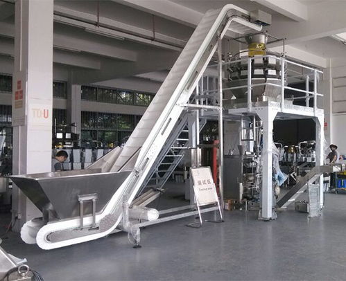 安徽天之業(yè) 以智能包裝機(jī)械賦能速凍產(chǎn)業(yè)，助力青島企業(yè)高效節(jié)省人力